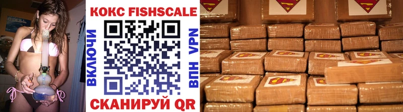 COCAIN FishScale  как найти наркотики  Горно-Алтайск 