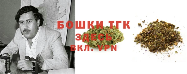 дживик Богородск