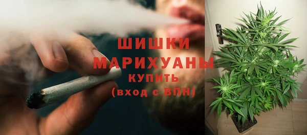сатива Богданович