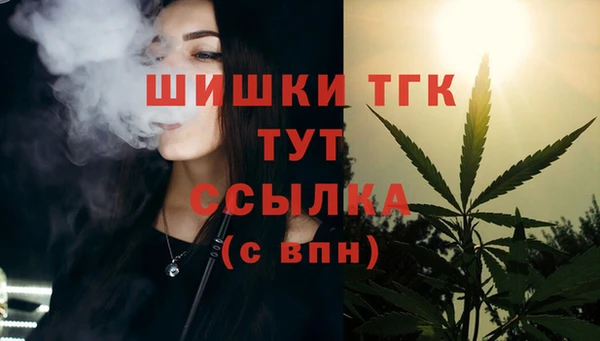 сатива Богданович