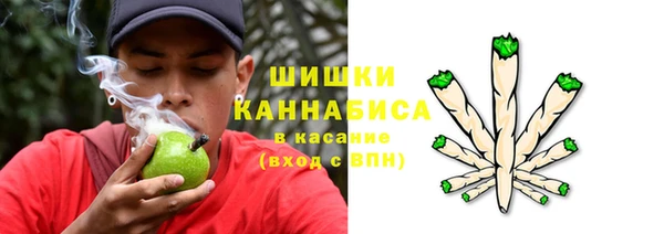 тгк Богородицк