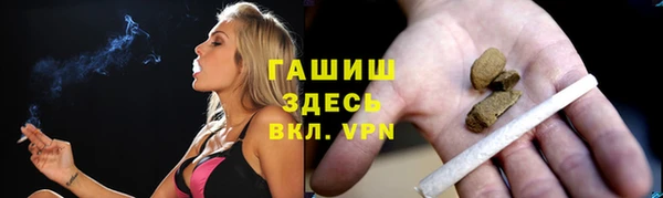 сатива Богданович