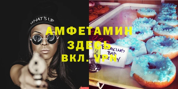 тгк Богородицк