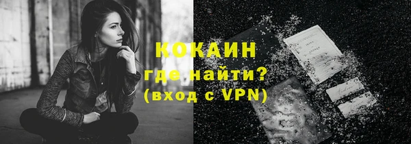 дживик Богородск
