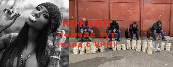 тгк Богородицк