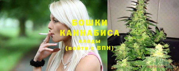тгк Богородицк