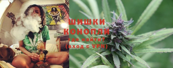 дживик Богородск