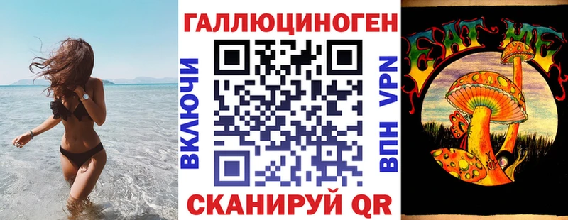 Псилоцибиновые грибы мицелий Горно-Алтайск